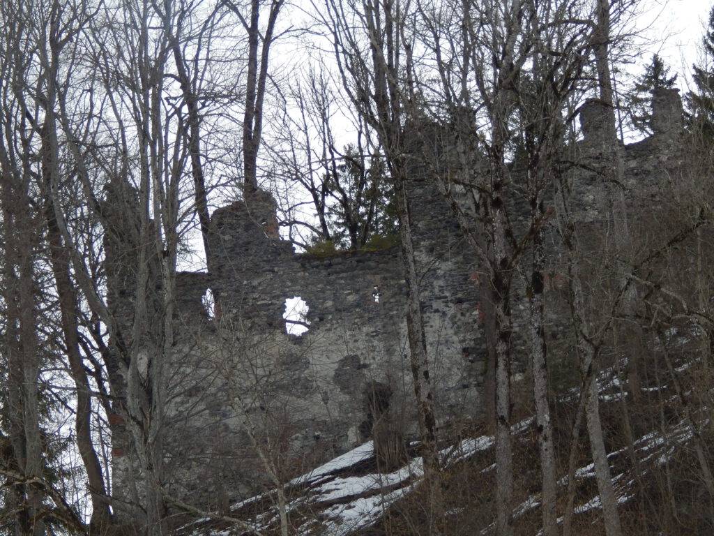 Burg Fluhenstein im Zoom