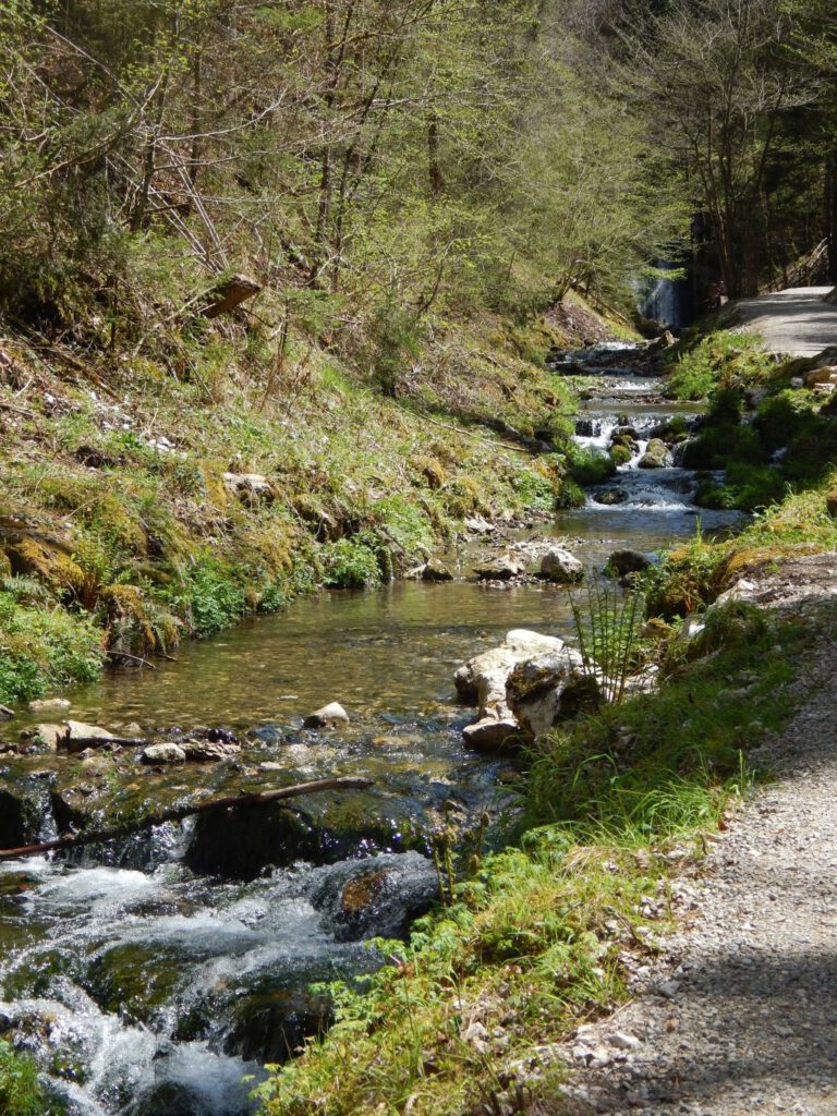 Dorfängerbach