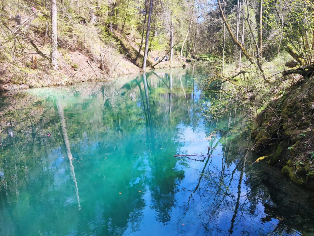 Grünblaue Teufelsküche